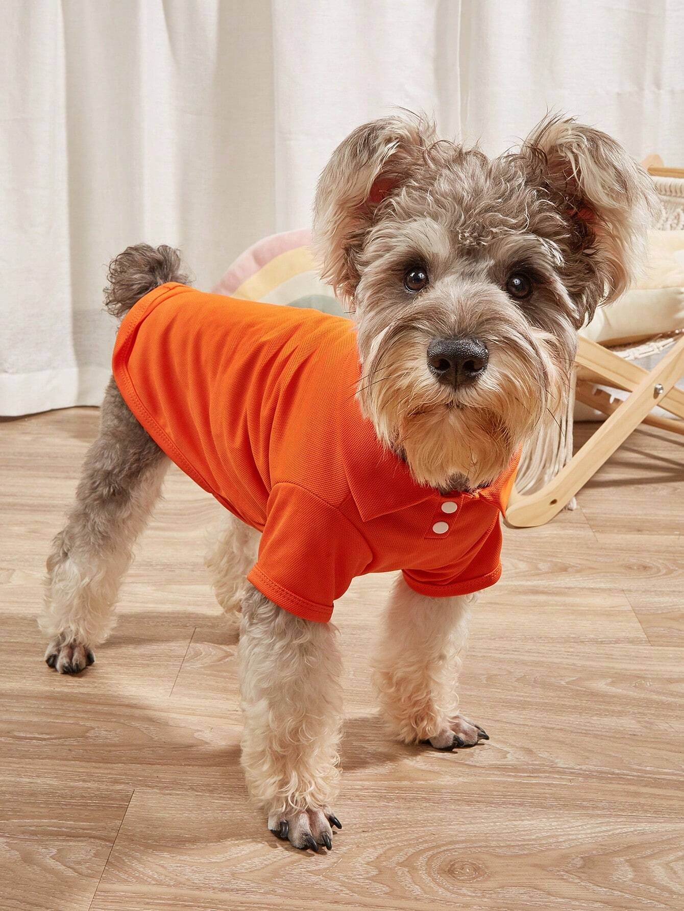 Camisa Polo Laranja para Pets, Casual para Cães e Gatos